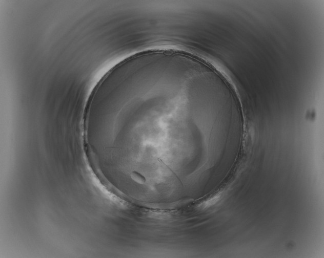 X0000113250951200909241608