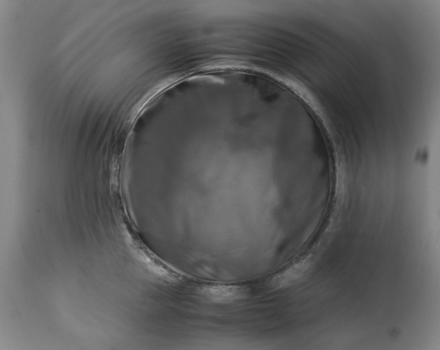 X0000113250953200909241608