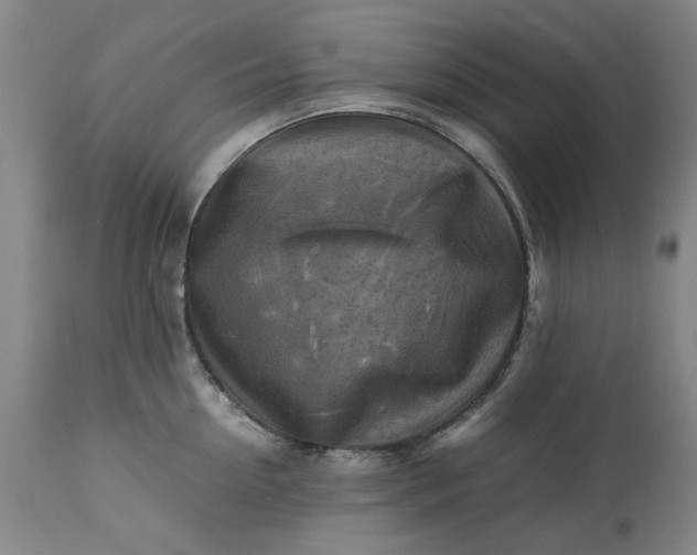 X0000113250954200909241608