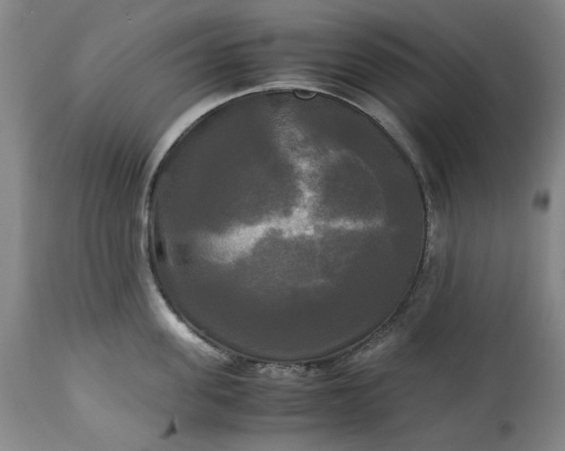 X0000113250955200909241608