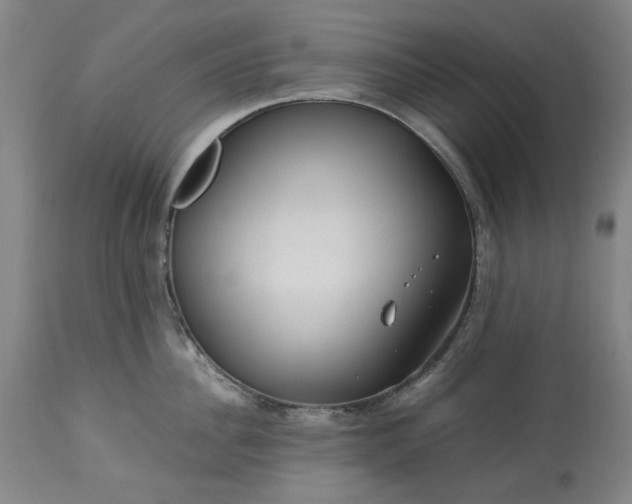 X0000113250956200909241608