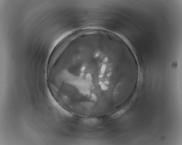 X0000113250957200909241608