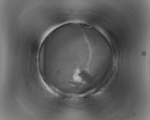 X0000113250959200909241608