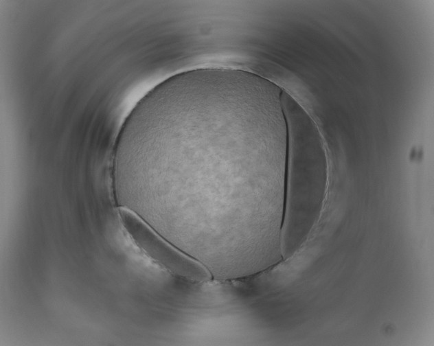 X0000113250960200909241608