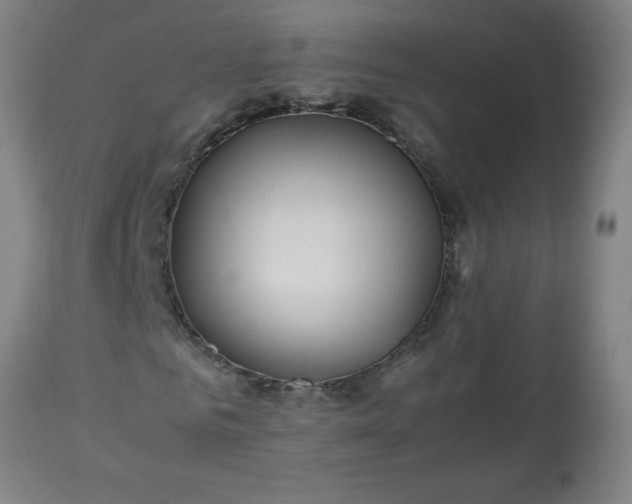 X0000113250961200909241608