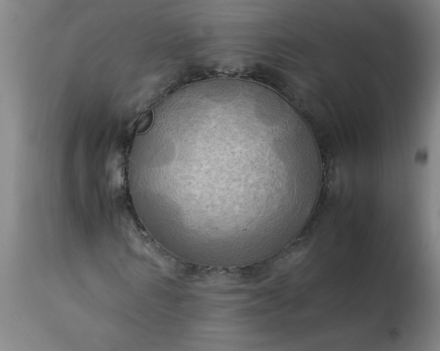 X0000113250962200909241608