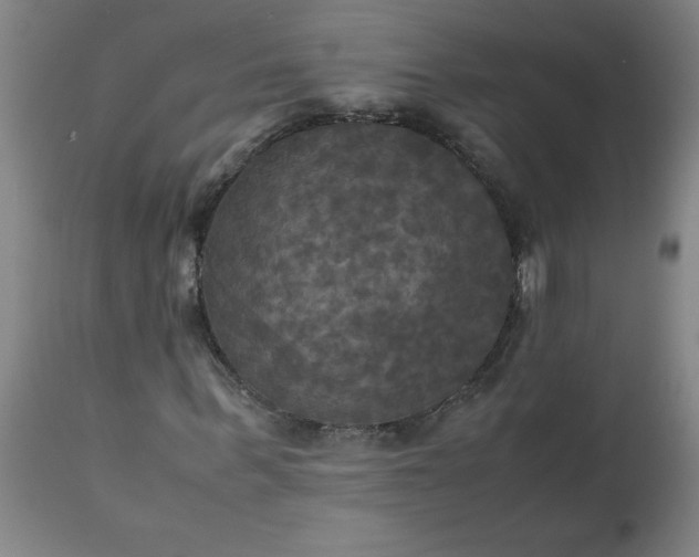 X0000113250963200909241608