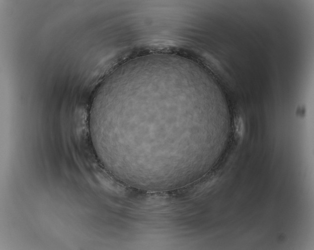 X0000113250964200909241608