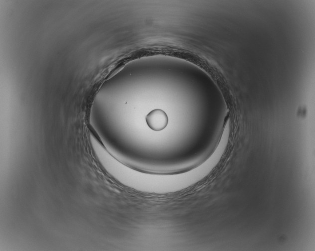 X0000113250965200909241608