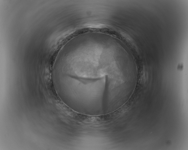 X0000113250966200909241608