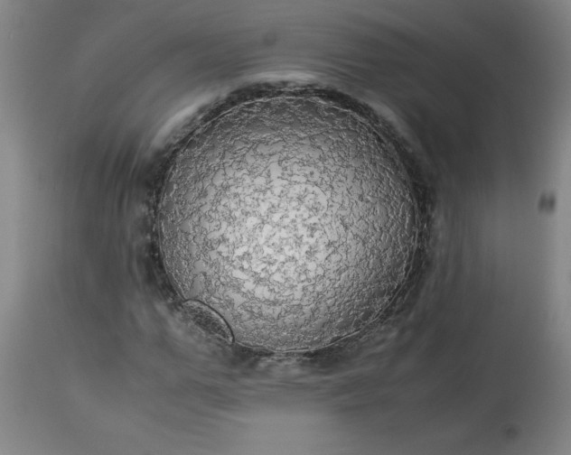 X0000113250967200909241608