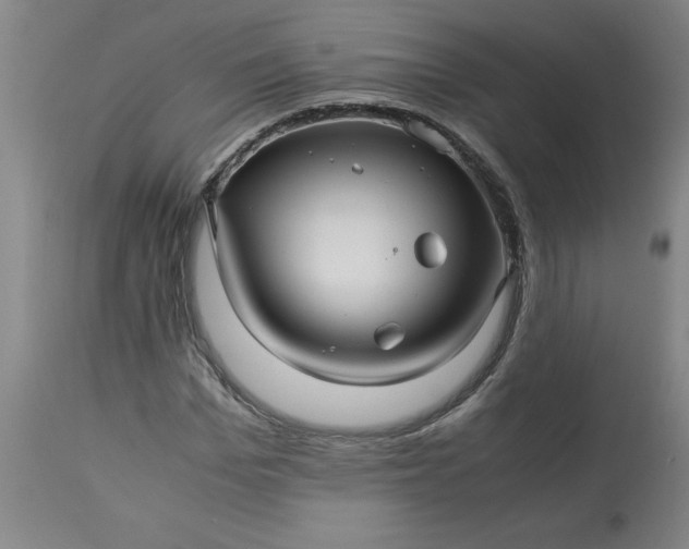 X0000113250969200909241608