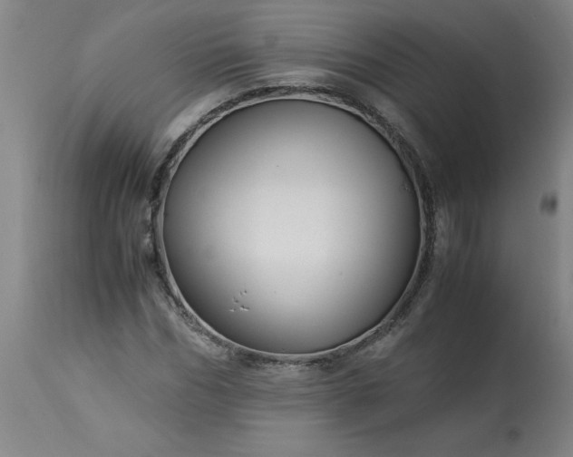 X0000113250970200909241608