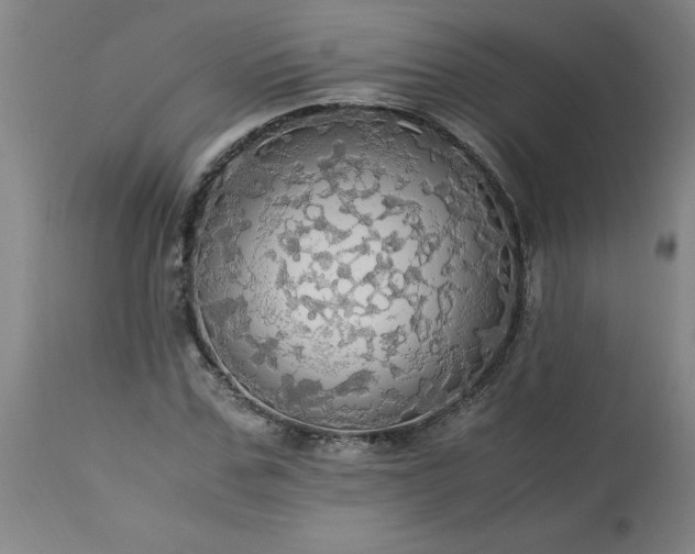 X0000113250971200909241607