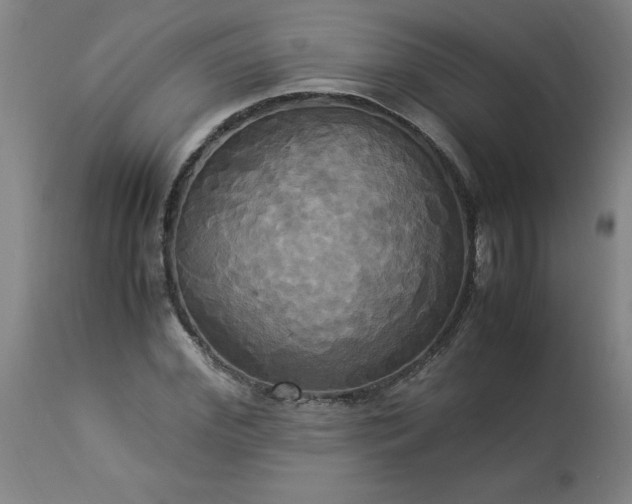 X0000113250972200909241607