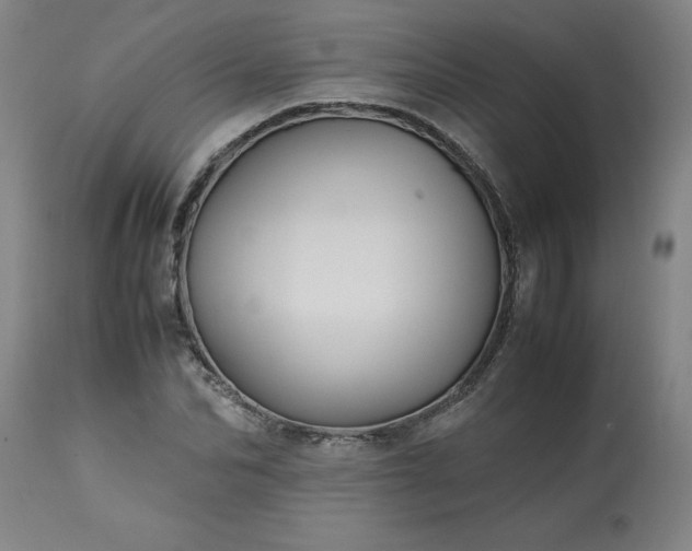 X0000113250974200909241607