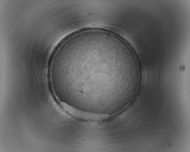 X0000113250976200909241607