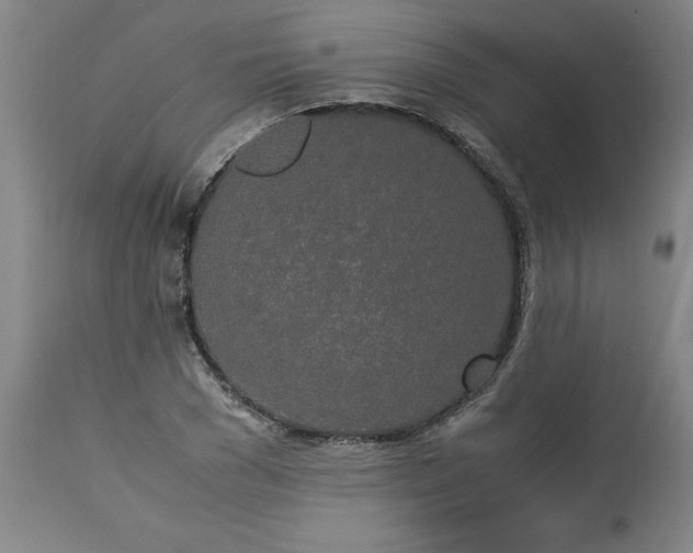 X0000113250977200909241607