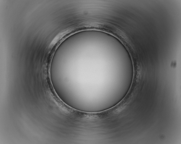 X0000113250978200909241607