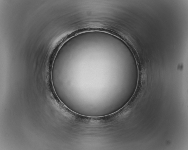 X0000113250979200909241607