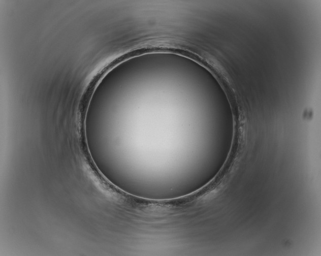 X0000113250981200909241607