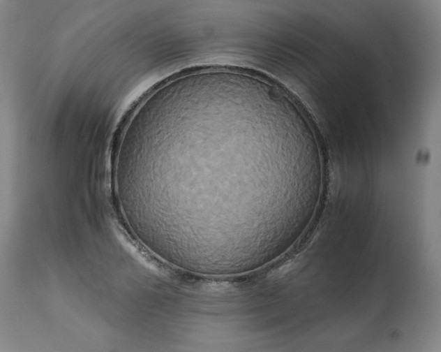 X0000113250982200909241607