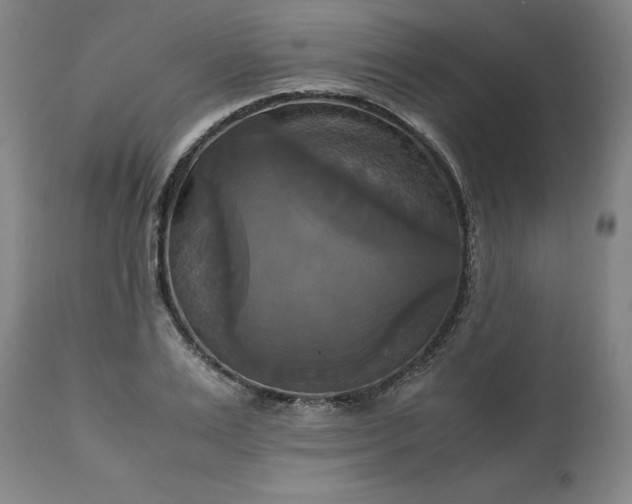 X0000113250983200909241607