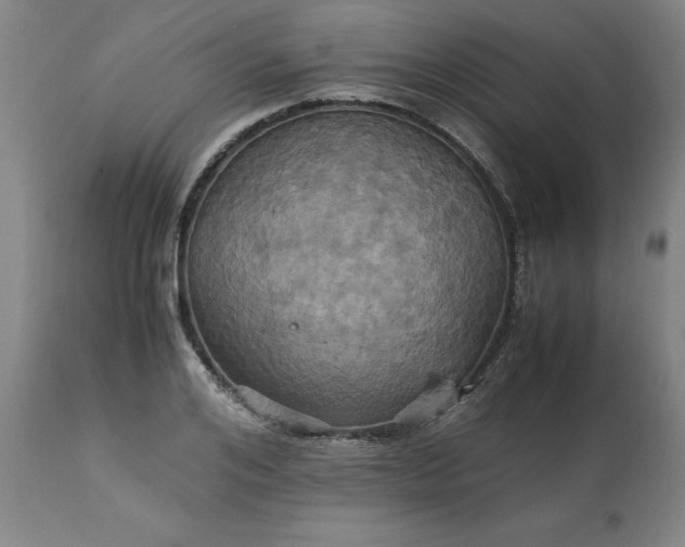 X0000113250984200909241607