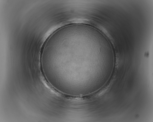 X0000113250986200909241607