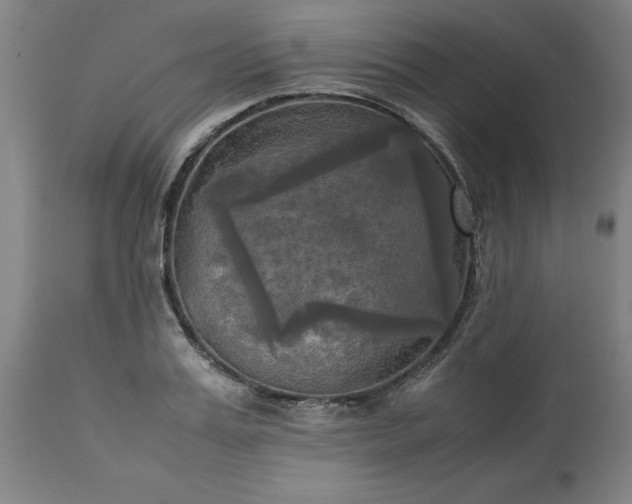 X0000113250987200909241607