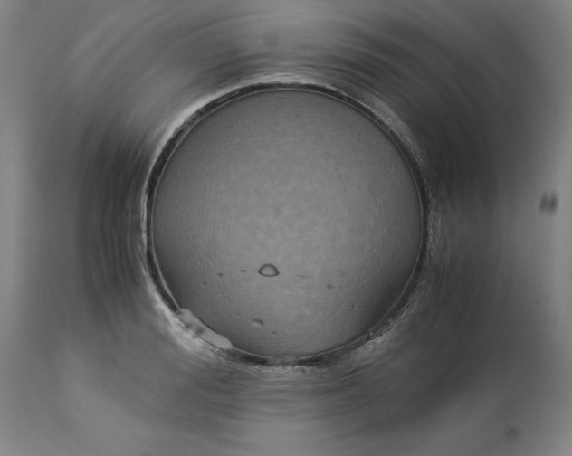 X0000113250988200909241607