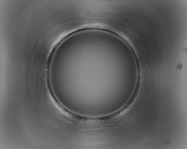 X0000113250989200909241607