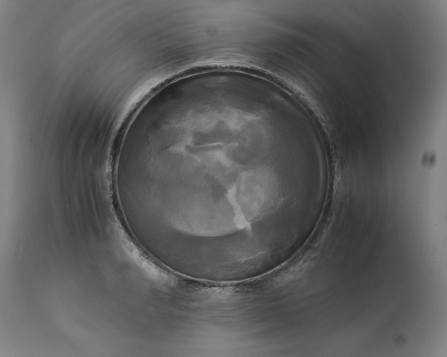 X0000113250990200909241607