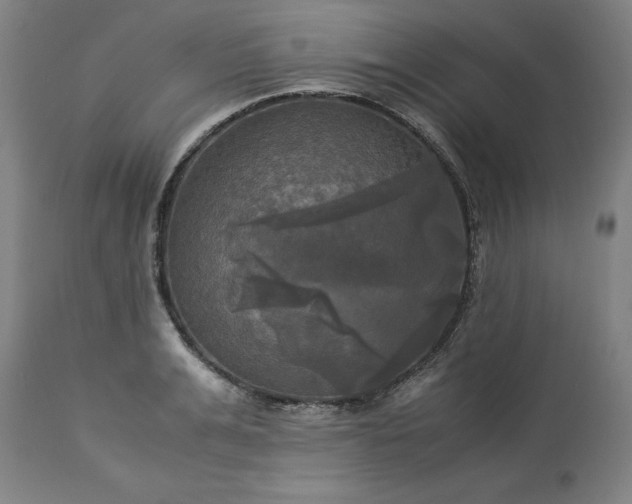 X0000113250991200909241607