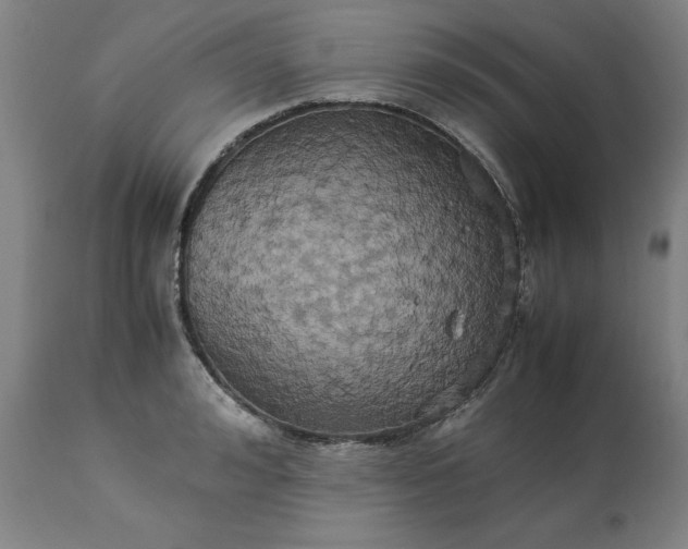 X0000113250992200909241607