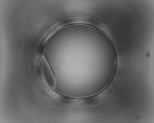 X0000113250993200909241607