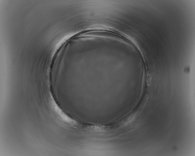 X0000113250995200909241607