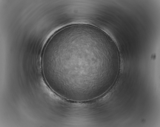 X0000113250996200909241607