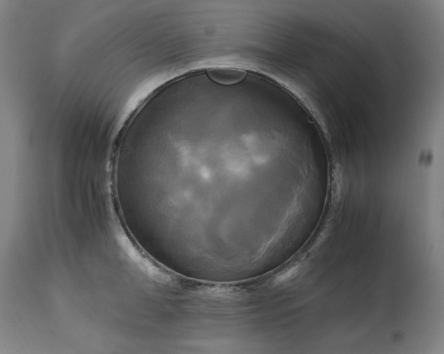 X0000113250998200909241607