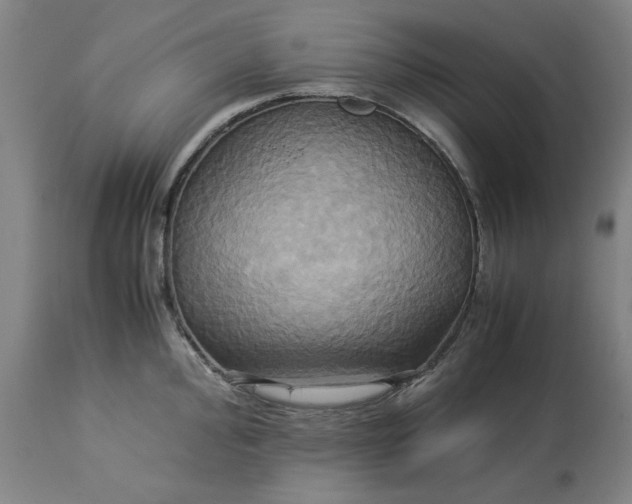 X0000113251000200909241607