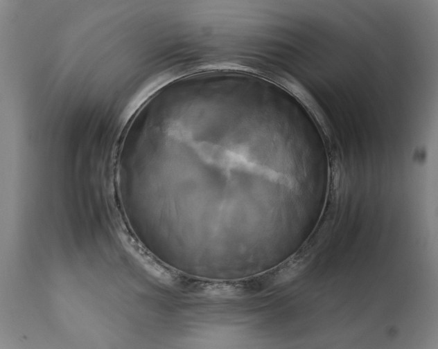 X0000113251002200909241607