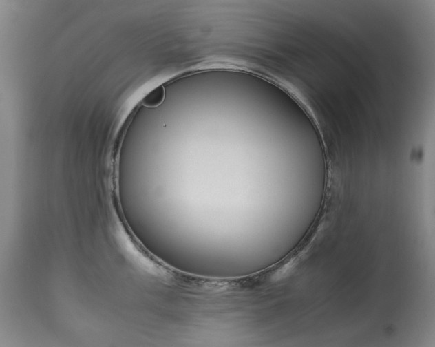 X0000113251003200909241607