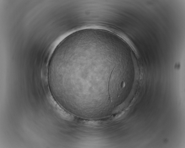 X0000113251004200909241607