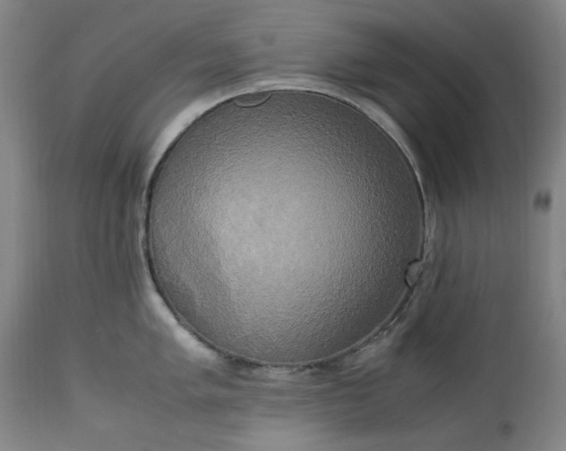 X0000113251005200909241607