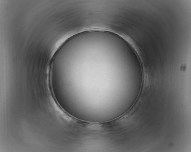 X0000113251006200909241607