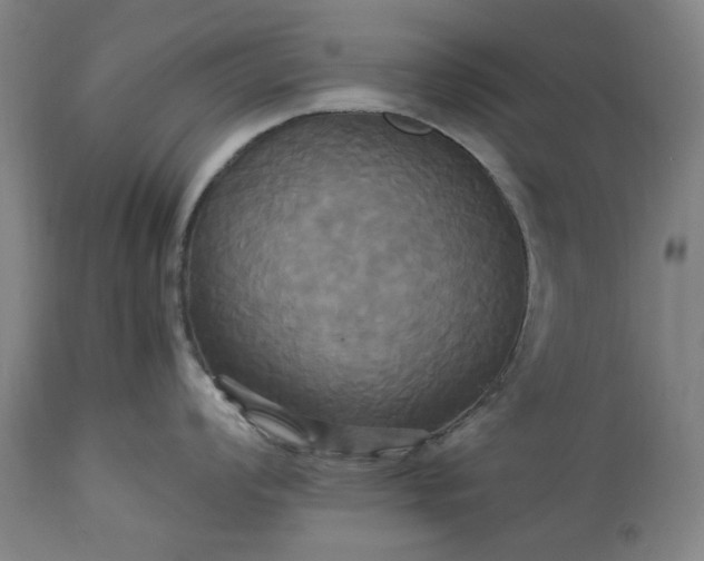 X0000113251008200909241607