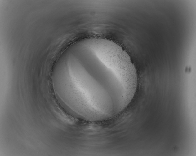 X0000113251009200909241606