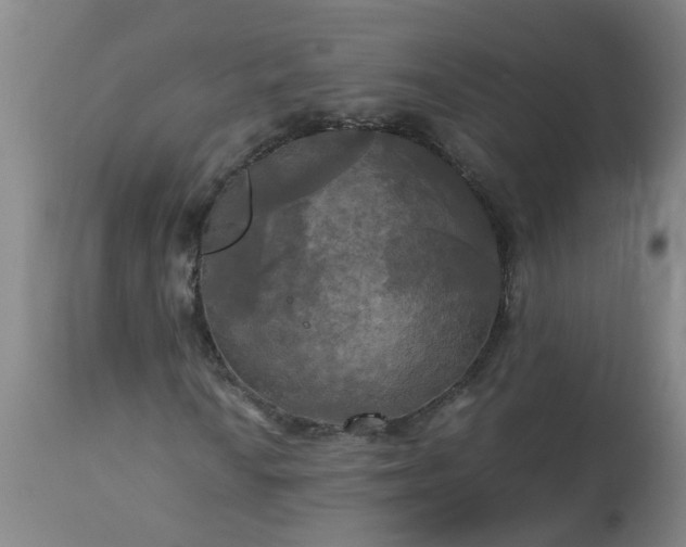 X0000113251010200909241606