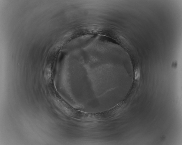 X0000113251011200909241606