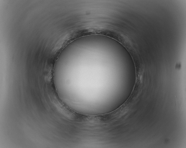 X0000113251012200909241606